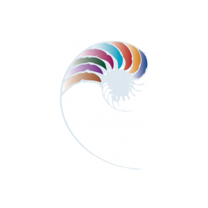 NZ Curriculum online logo. 